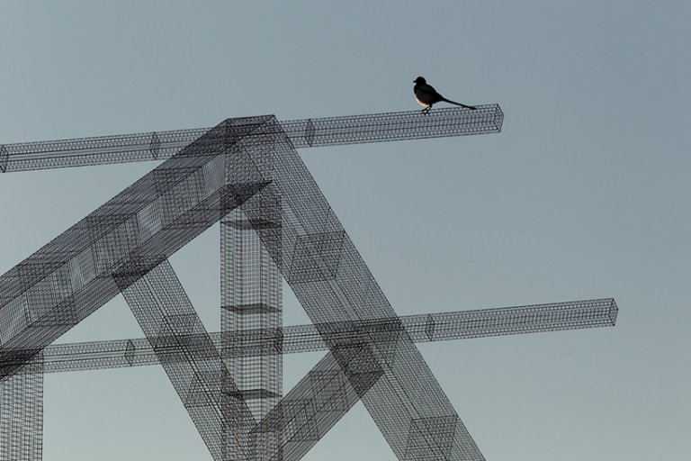 Basilica di Siponto - Edoardo Tresoldi