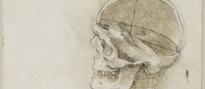 Leonardo