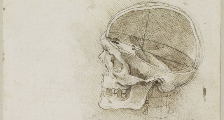 Leonardo