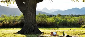 picnic gadget pasquetta