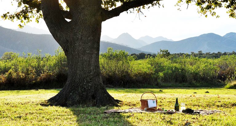 picnic gadget pasquetta