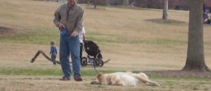 CANE ATTORE