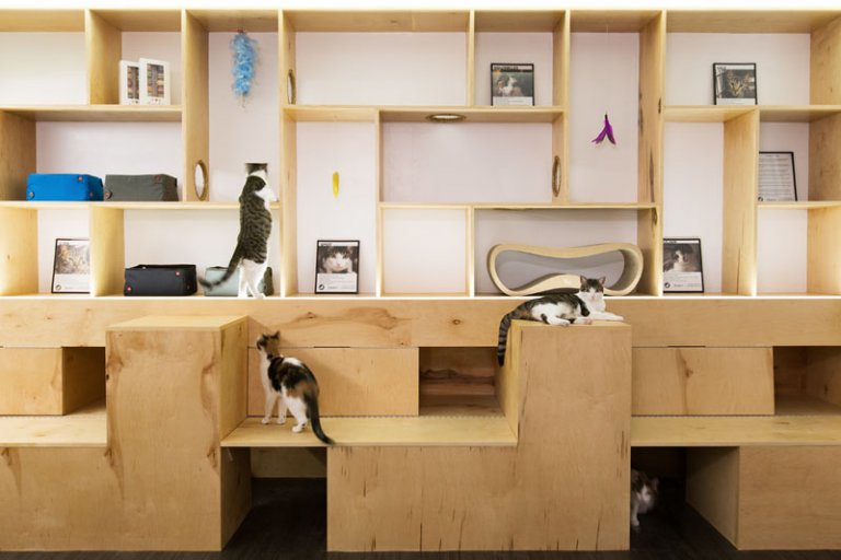 Il Meow Parlour di New York