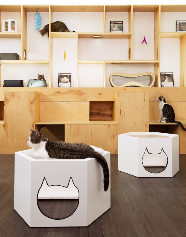 Il Meow Parlour di New York