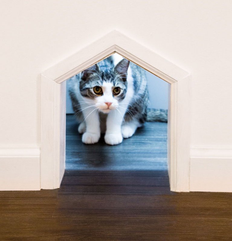 Il Meow Parlour di New York