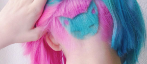 taglio capelli gatto