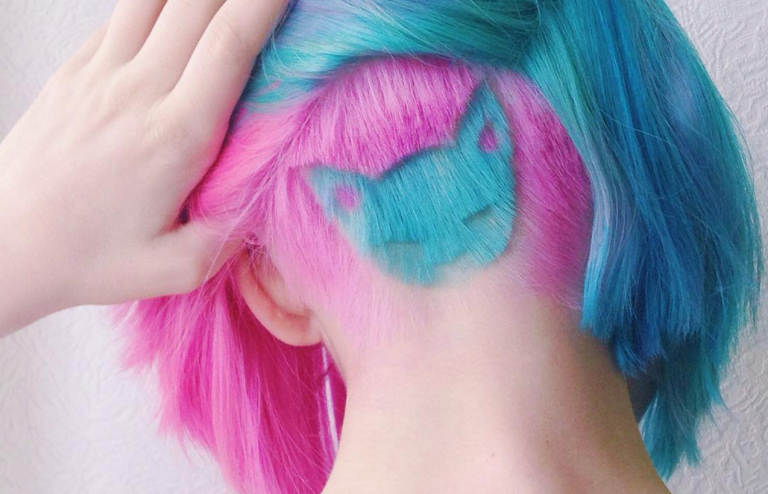 taglio capelli gatto