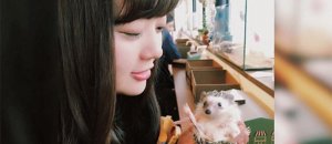 Caffe ricci tokyo