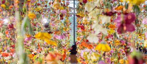 Fiori berlino