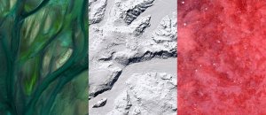Max serradifalco flags satellite photography designboom
