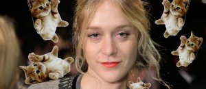 Sevigny kitten