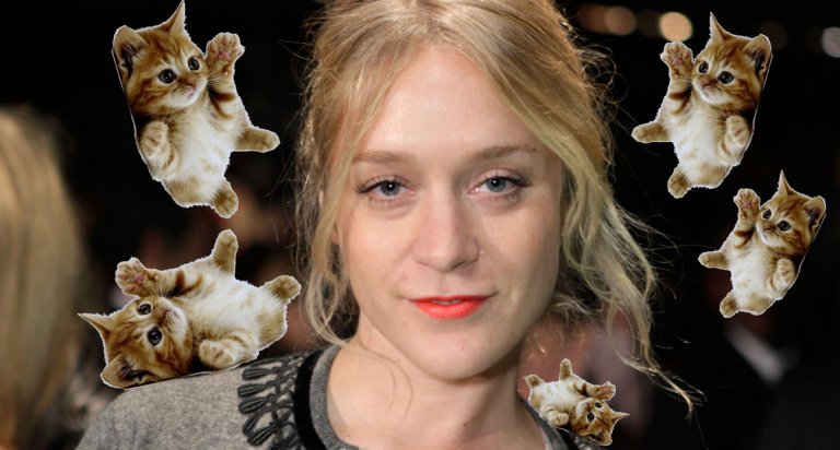 Sevigny kitten