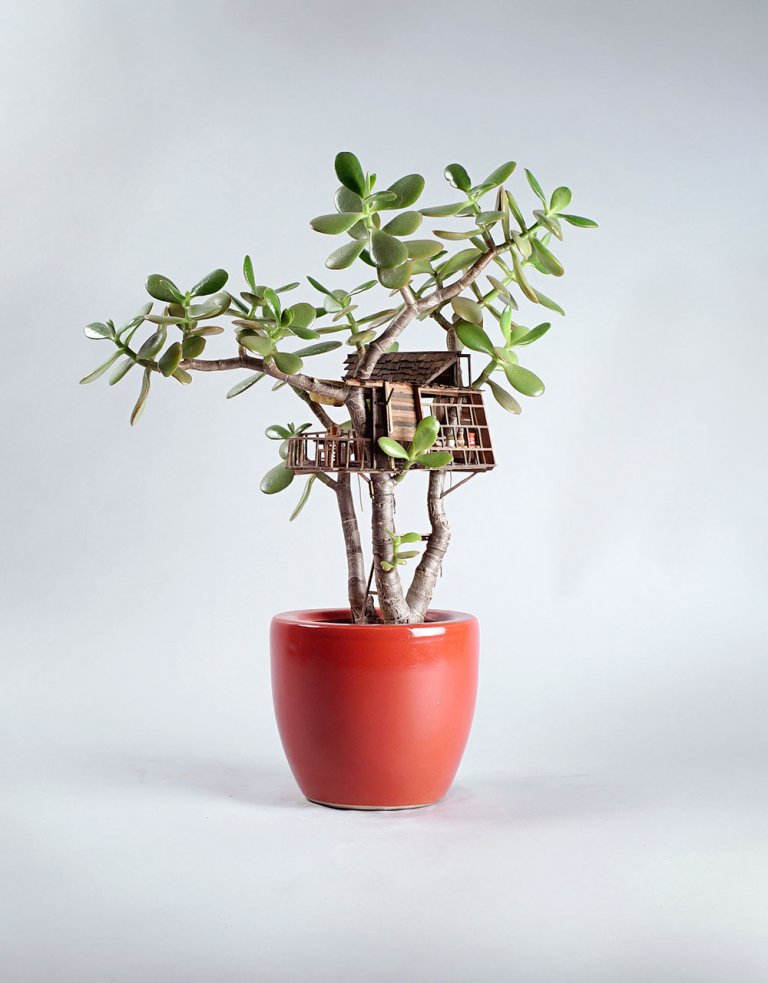 Somewhere small di Jedediah Voltz
