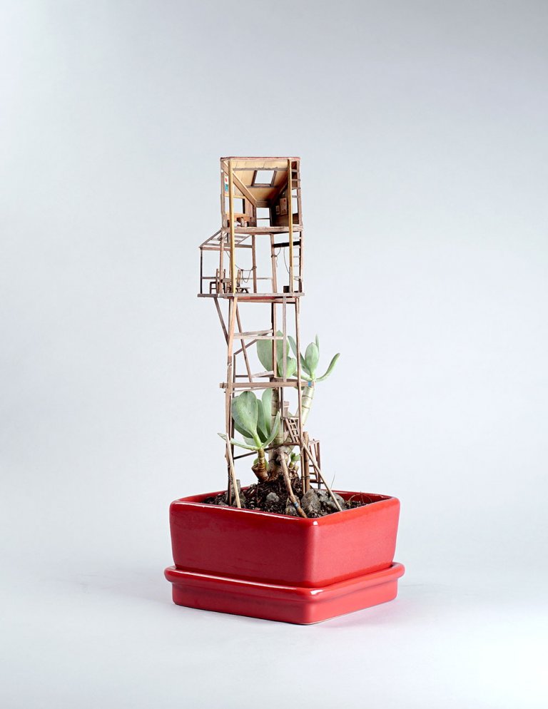 Somewhere small di Jedediah Voltz