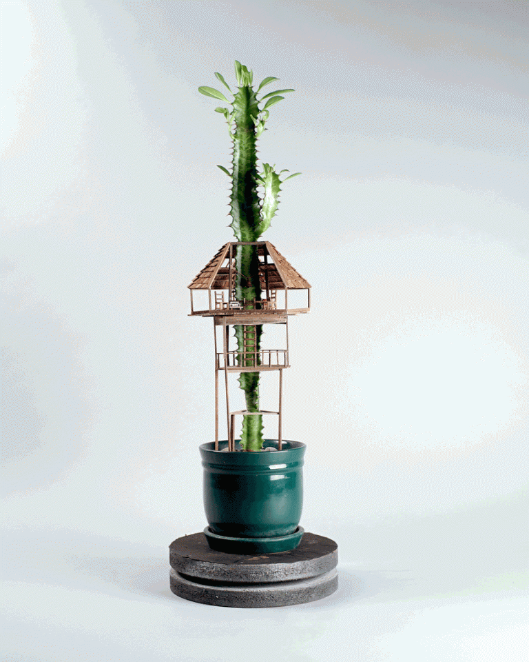 Somewhere small di Jedediah Voltz