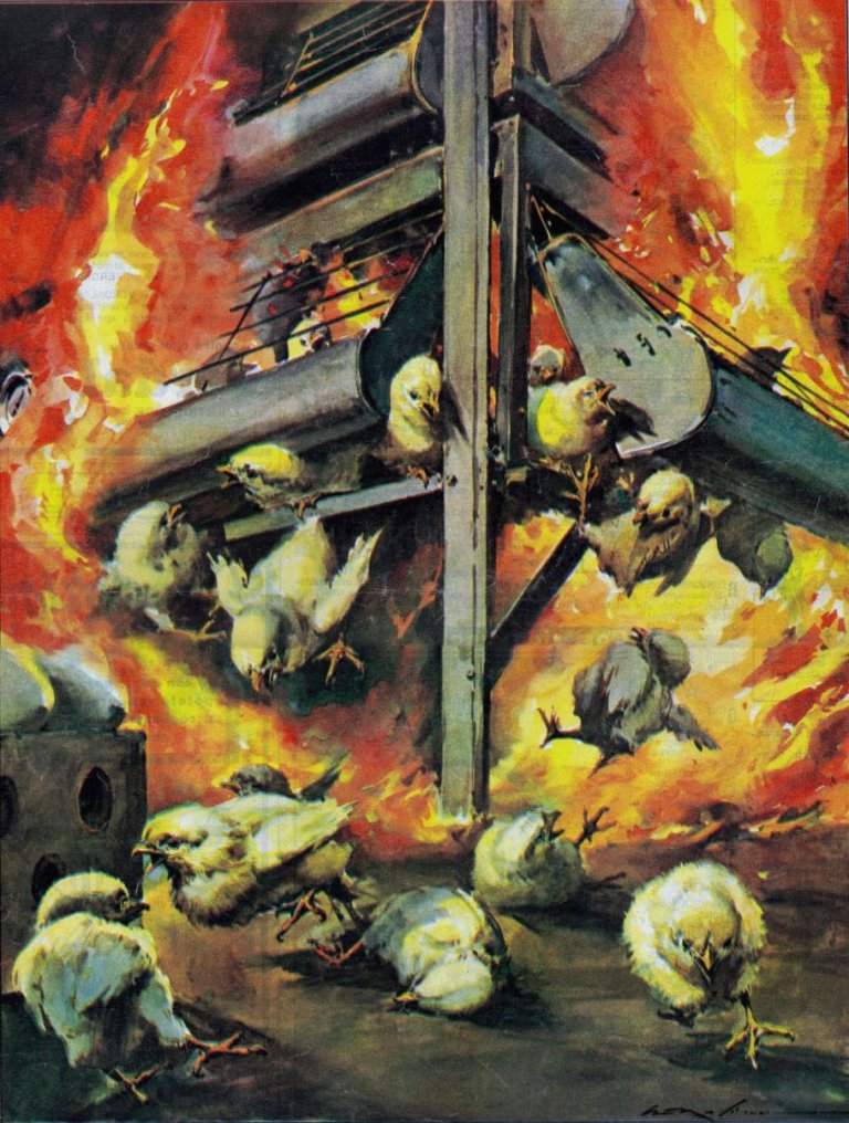 La Domenica del Corriere e Walter Molino