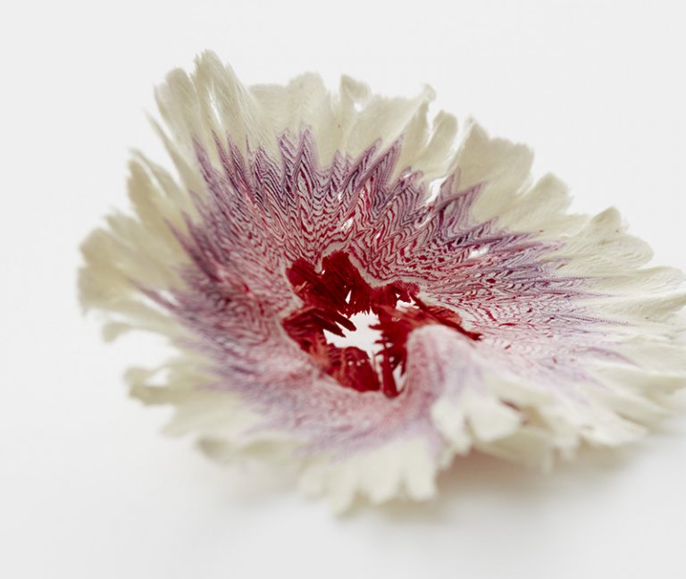 fiori di carta