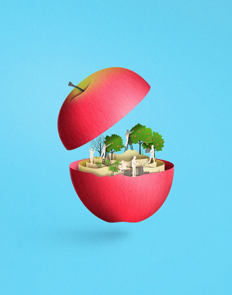 Pink-Eiko Ojala