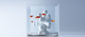 acquari minimalisti