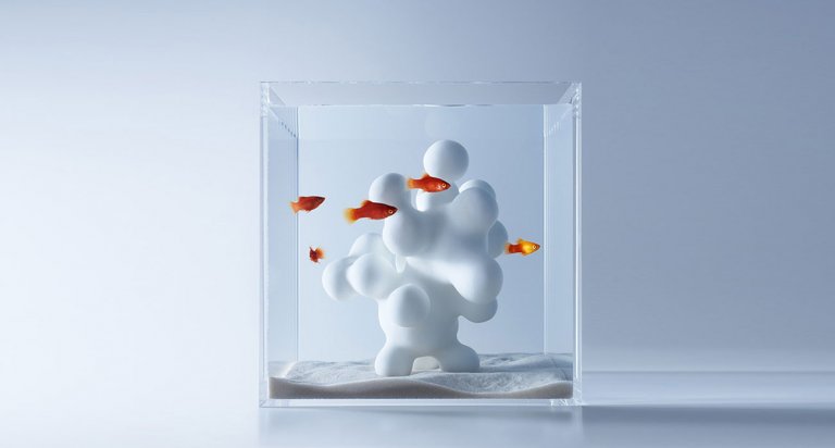 acquari minimalisti