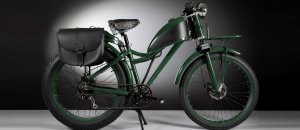 bici pedalata assistita