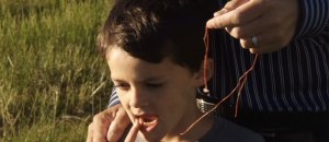 Dente elicottero