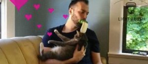 lingua finta leccare gatto