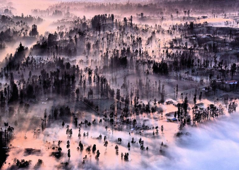 Misty At Cemoro Lawang, Indonesia