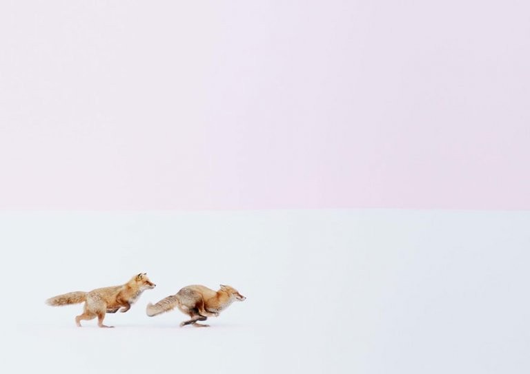 Wherever You Go, I Will Follow You, Japan