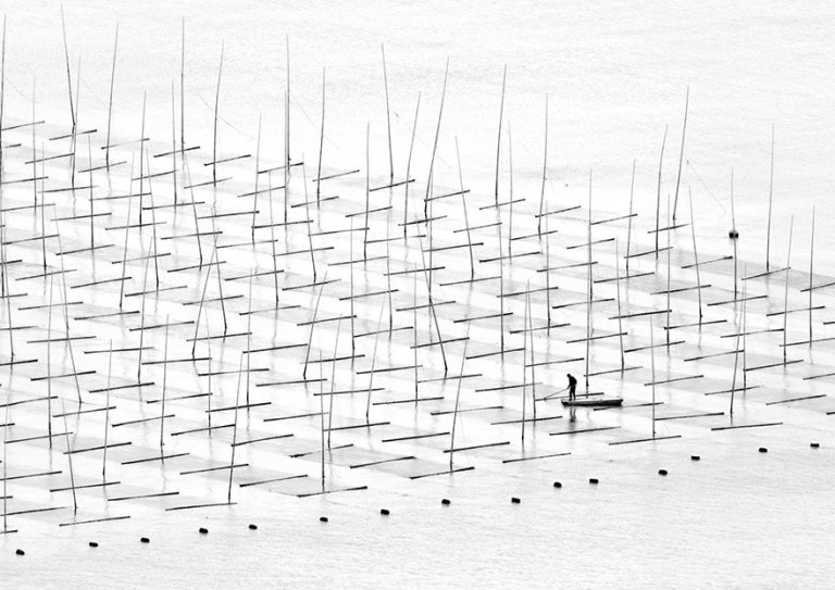 Farming The Sea, China