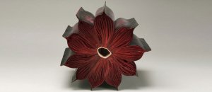 Sculture libri