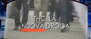 thc tgr regione piemonte