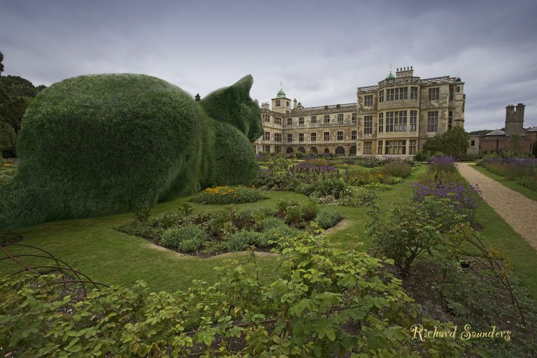 Il commovente omaggio di un artista inglese al suo gatto che non c'è più