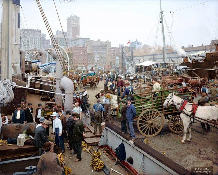 Banana Docks, New York (1890 1910)
