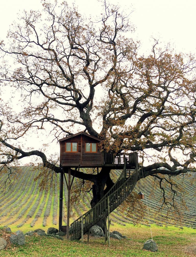 Questa casa sull’albero ti farà venire voglia di mollare il lavoro oggi