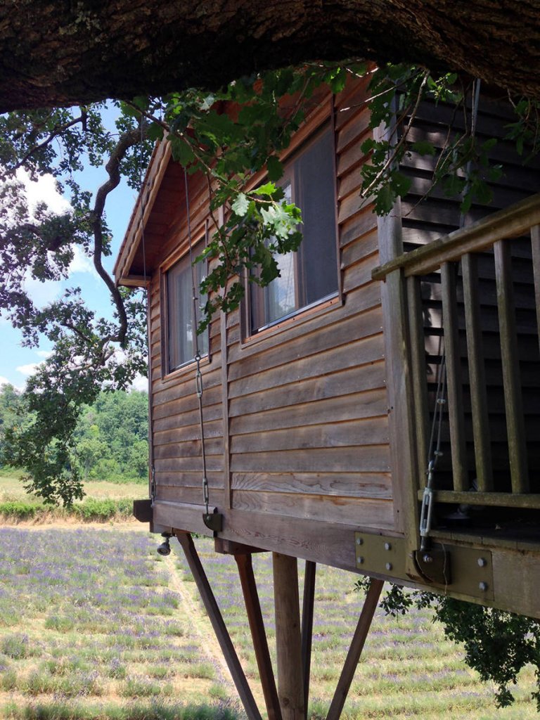 Questa casa sull’albero ti farà venire voglia di mollare il lavoro oggi