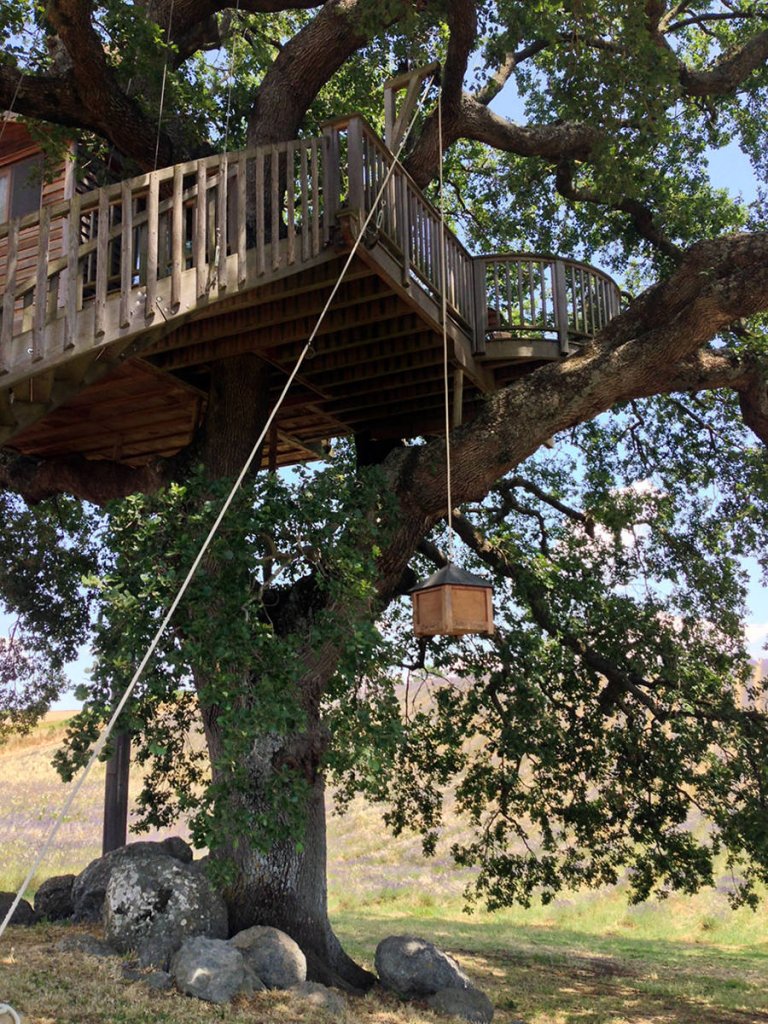 Questa casa sull’albero ti farà venire voglia di mollare il lavoro oggi