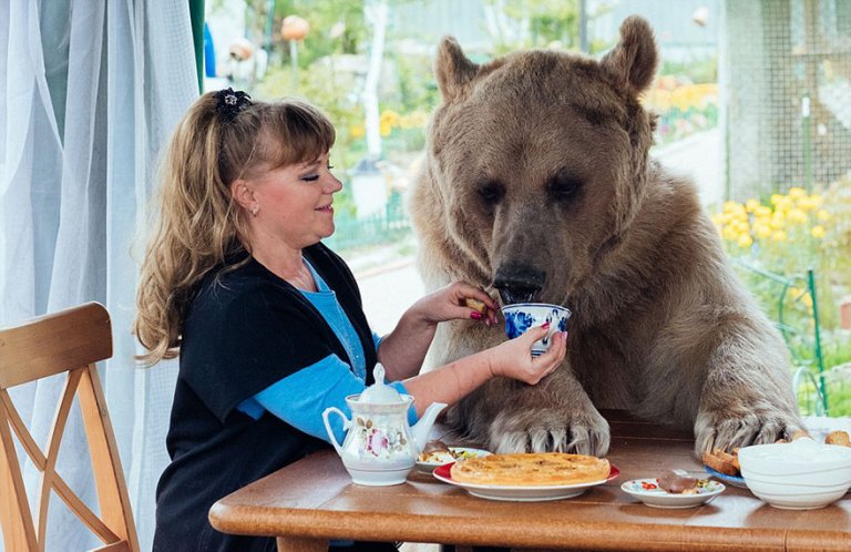 Una coppia russa ha adottato un orso 23 anni fa e lui vive ancora insieme a loro