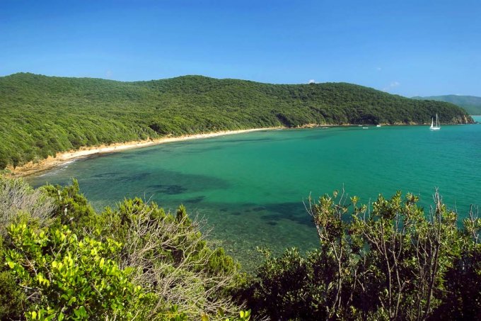 Toscana, Golfo di Follonica,Cala Violina spiagge libere più belle d'Italia