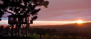 vacanza casa sull'albero