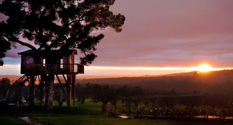 vacanza casa sull'albero