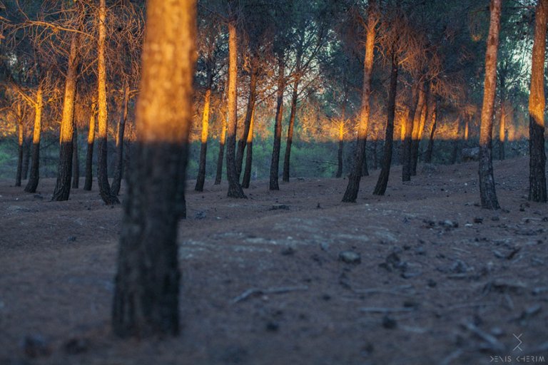 Denis Cherim Photography ©