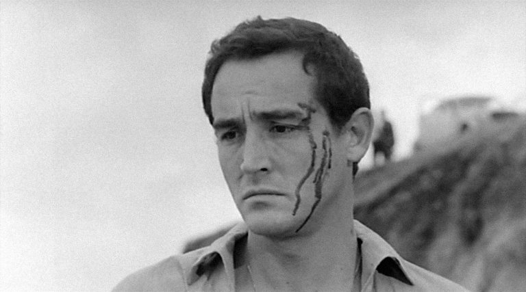 La vera eleganza: le più belle foto di Vittorio Gassman, morto 16 anni fa