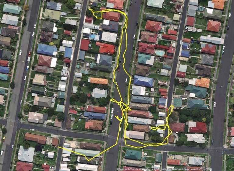 Gatti gps tracciato percorsi