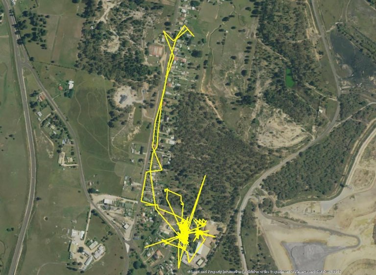 Gatti gps tracciato percorsi