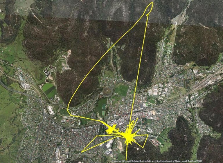 Gatti gps tracciato percorsi