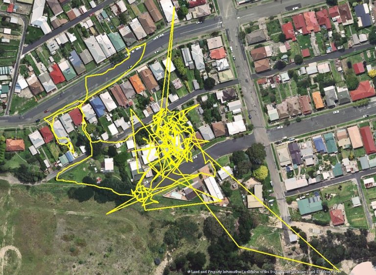 Gatti gps tracciato percorsi