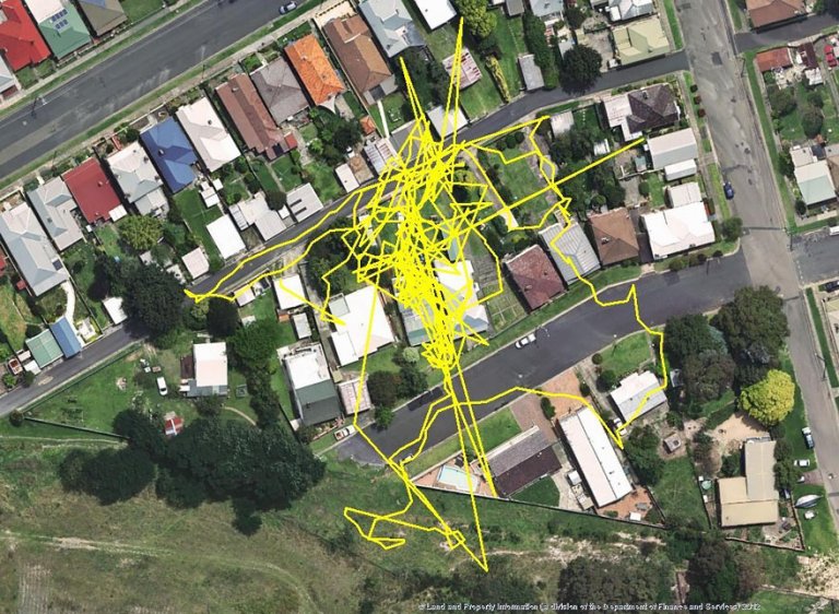 Gatti gps tracciato percorsi