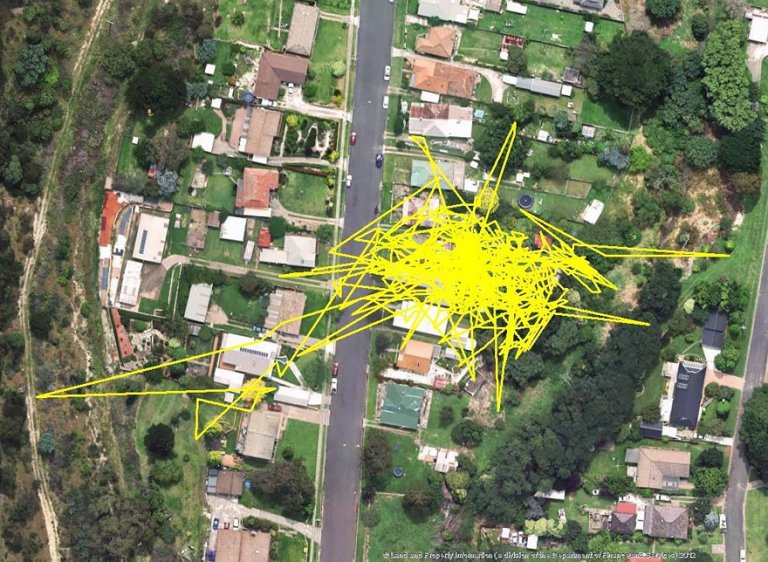 Gatti gps tracciato percorsi