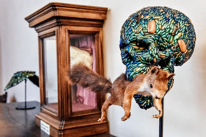 Skull with squirrel